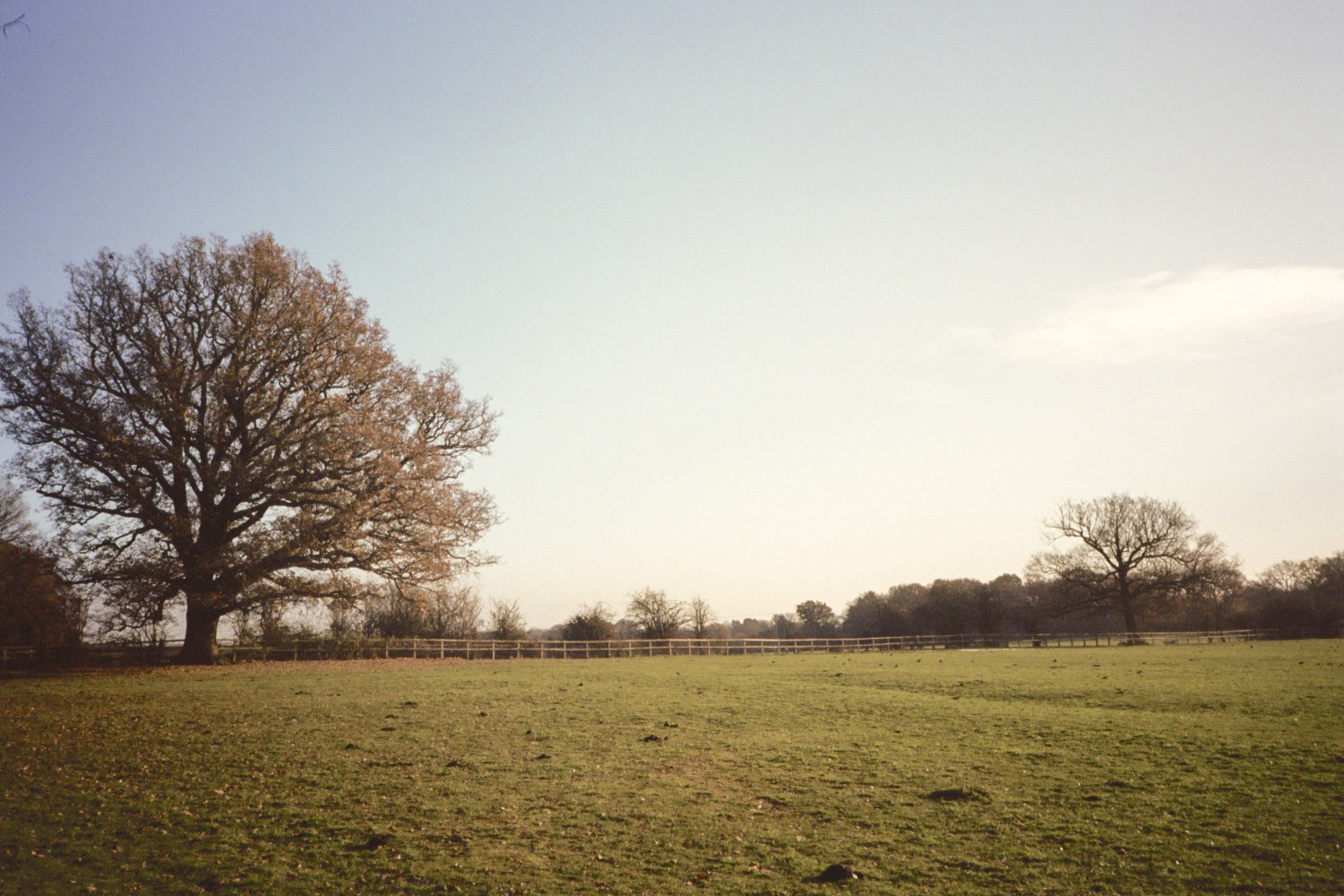 backgrounds-688 backgrounds-688